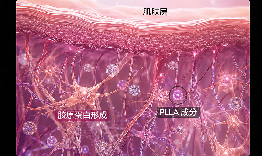 舒颜萃 皮肤弹力与自然饱满改善