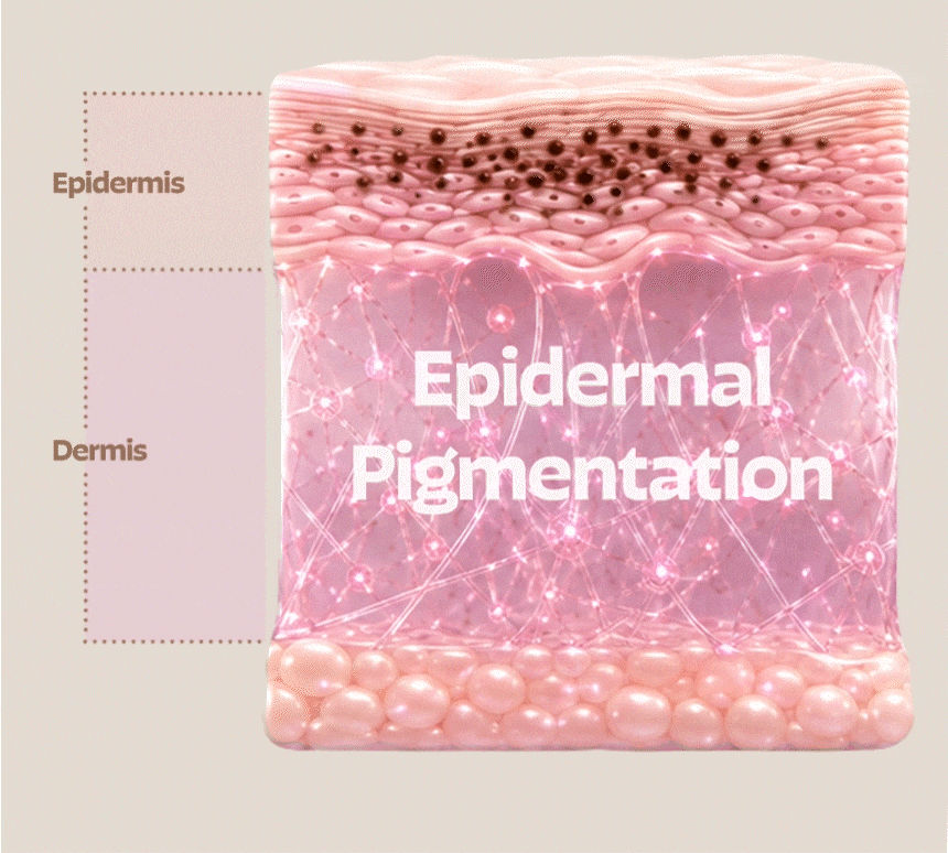 Busan FLORIA Clinic pigmentation treatment