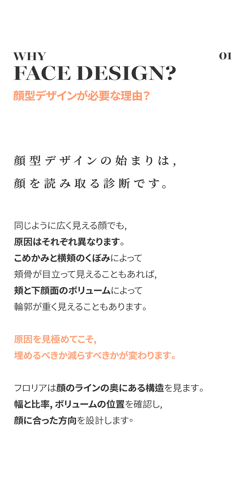 顔の幅・ボリューム分布・輪郭の流れを分析