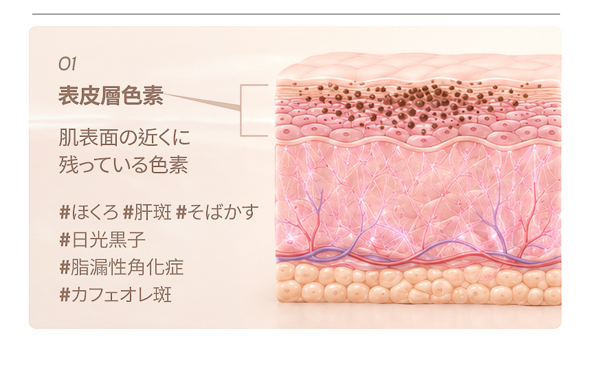 フロリア 色素補正プログラム