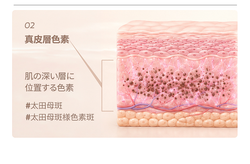 肌トーン・色素分布・敏感度の確認