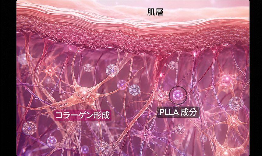 スカルプトラ ハリとボリューム改善