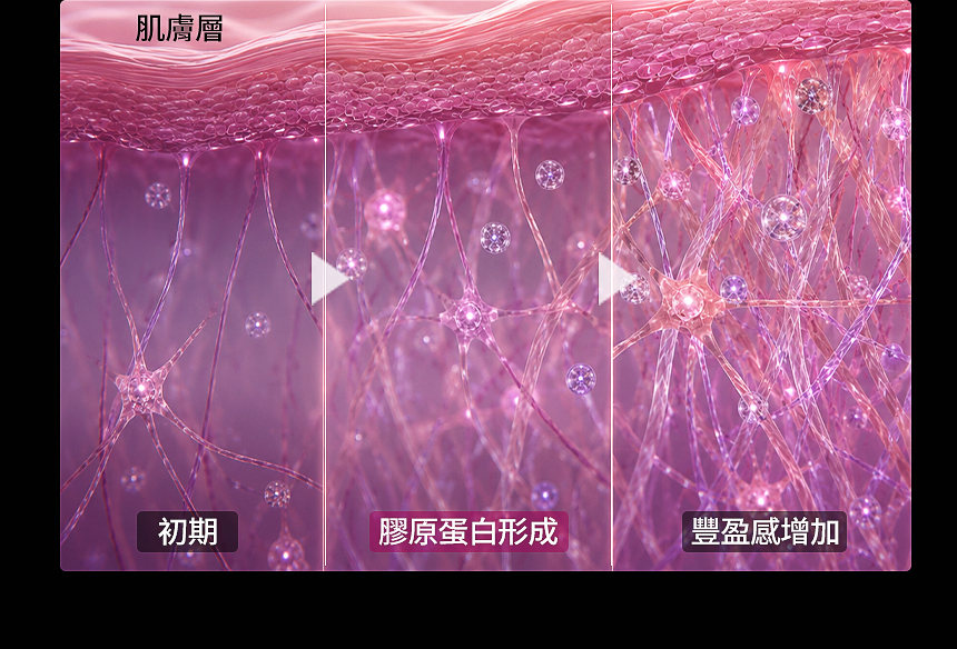 舒顏萃 膠原蛋白生成 肌膚彈力改善