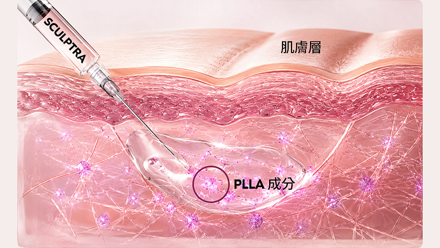 舒顏萃 膠原蛋白形成與肌膚支撐結構